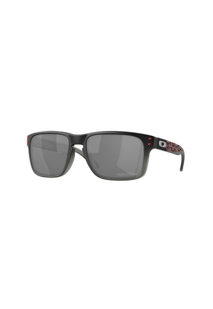 Gafas De Sol Holbrook Prizm Black Oakley