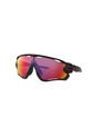 Gafas De Sol Oakley Jawbreaker OO9290 929020 31 de Oakley