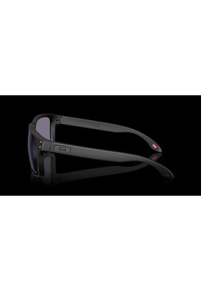 Gafas Oakley Holbrook XXL