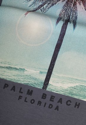 Camiseta Ocean Pacific Gris