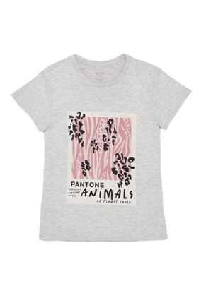 Conjunto Corto Gris  OFFCORSS