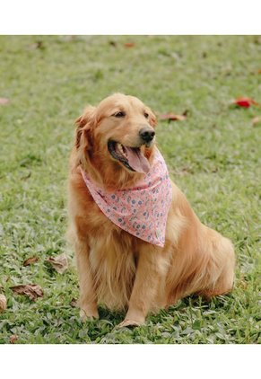 Pañoleta Rosado  OFFCORSS