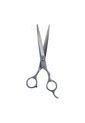 Tijera Deslizante 420 Silver 65 de Olivia Garden