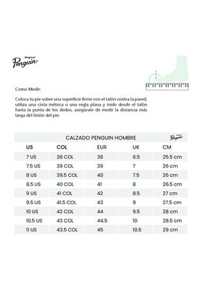 Tenis Penguin Frances Hombre-Azul