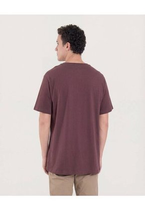Camiseta Regular Fit Con Screen Para Hombre Café Ostu