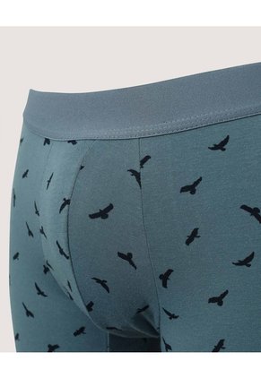 Boxer Medio Estampado  Para Hombre Verde Ostu