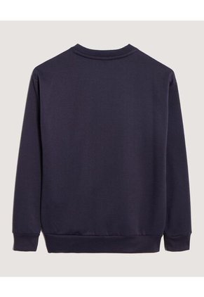 Buzo Unicolor Cuello Redondo Para Niño  Infantil Niño Azul Ostu