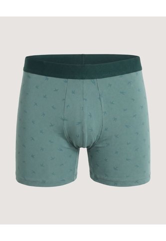 Bóxer Medio Estampado De Golondrinas  Para Hombre Verde Ostu Ostu
