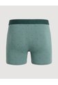 Bóxer Medio Estampado De Golondrinas  Para Hombre Verde Ostu de Ostu