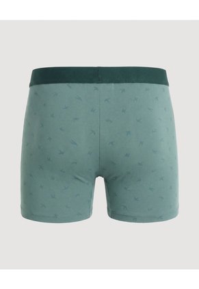 Bóxer Medio Estampado De Golondrinas Para Hombre Verde Ostu