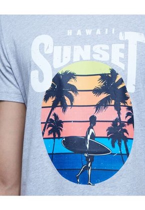 Camiseta Para Hombre Manga Corta Color Gris Marca Ostu #60091216