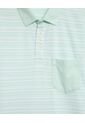 Polo Cuello Duro Con Franjas  Para Hombre Verde Patprimo de Patprimo