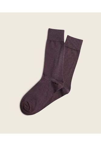 Medias Para Hombre Caña Larga Color Café Oscuro Marca Patprimo #44980009 Patprimo