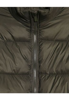 Chaqueta Para Hombre Acolchada Color Verde  Marca Patprimo #44080299