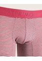 Pantaloncillo Algodón Mini Rayas Preteñido Elástico Expuesto X1 Para Hombre Vino Patprimo de Patprimo