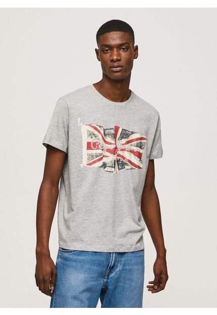 Camiseta Pepe Jeans Para Hombre Flag Logo N Color Gris