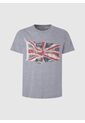 Camiseta Pepe Jeans Para Hombre Flag Logo N Color Gris de Pepe Jeans