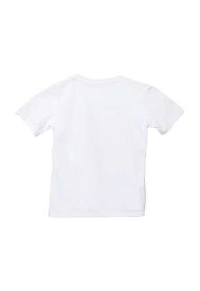 PJ772AB16AZJCO-2720240