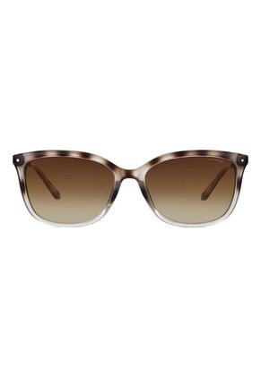 Gafas Polaroid Policarbonato Havana Mujer