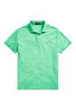 Polo Verde Polo Ralph Lauren de Polo Ralph Lauren