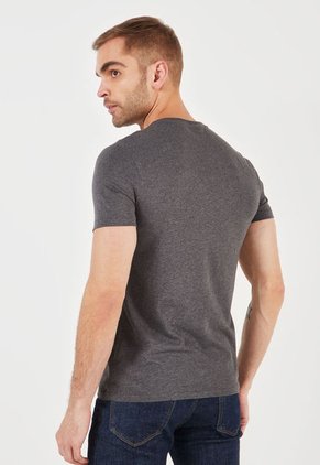 Camiseta Gris-Verde Polo Ralph Lauren