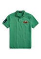Camiseta Polo Verde Multicolor Polo Ralph Lauren de Polo Ralph Lauren
