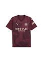 Camiseta Puma Hombre Manchester City 24/25- Rojo de Puma