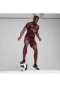 Camiseta Puma Hombre Manchester City 24/25- Rojo de Puma