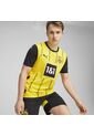 Camiseta Puma Hombre Local Borussia Dortmund 24- Amarillo de Puma