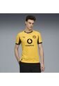 Camiseta Puma Hombre Borussia Dormund 25/26  Copa-Amarillo de Puma