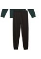 SUDADERA PUMA HOMBRE 684847 75 SUD. Talla XL de Puma