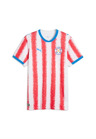 Camiseta Deportiva Puma Original Paraguay Home Blanco Hombre Puma