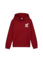 Hoodie Puma Original Ess+ Mid 90S Hoodie Tr B Rojo Para Nino de Puma
