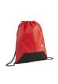 TULA TEAMGOAL GYM SACK PUMA de Puma