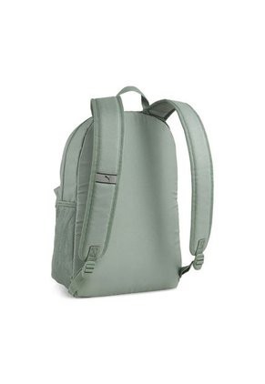 MORRAL PHASE PUMA