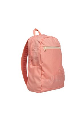MORRAL PHASE PUMA