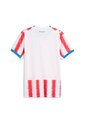 Camiseta Deportiva Puma Original Paraguay Home Blanco Hombre de Puma