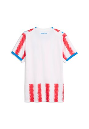 Camiseta Deportiva Puma Original Paraguay Home Blanco Hombre