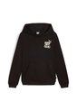 Hoodie Puma Original Essential Mid 90S Youth Negro Para Niño de Puma