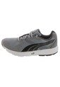 Training Puma Descendant V2 Gris de Puma