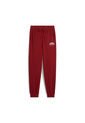 Pantalon Deportivo Puma Original Squad Tr G Rojo Para Niños de Puma
