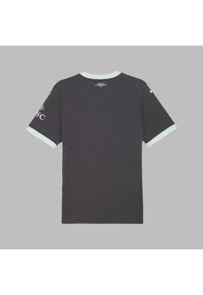 Camiseta Puma Hombre Ac Milan 24/25- Gris