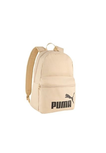Morral Puma Phase