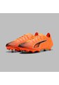 Array de Puma