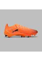 Array de Puma