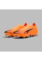 Array de Puma