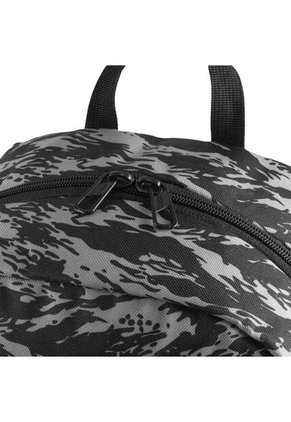 Morral Puma Phase