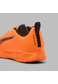 Array de Puma