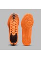 Array de Puma