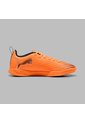 Array de Puma
